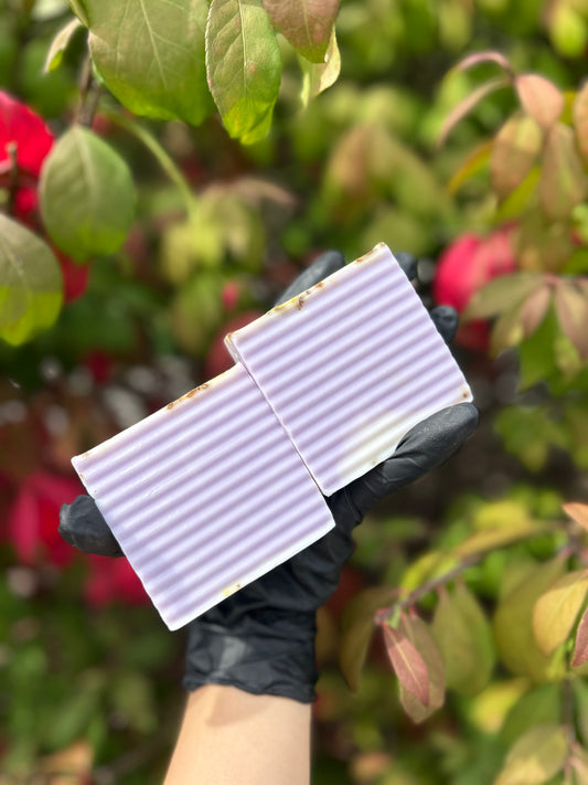 Tea Tree x Lavender Cleansing Bar