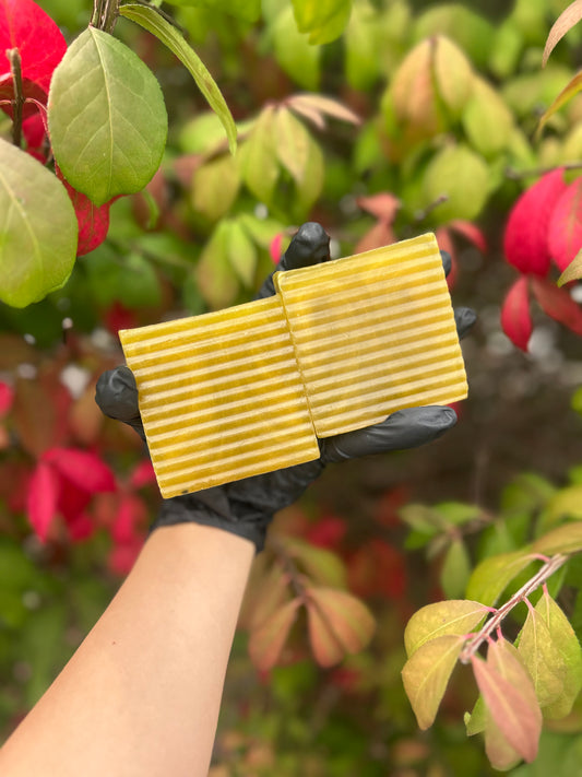 Charcoal & Turmeric Bar
