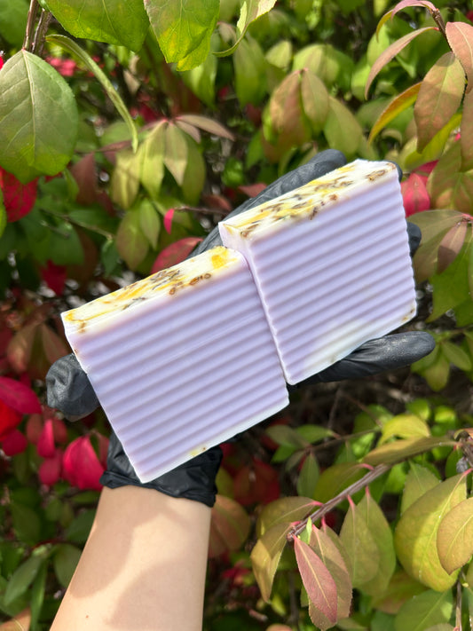Tea Tree x Lavender Cleansing Bar