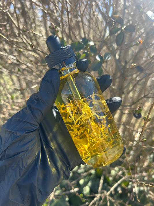 Everlasting Glow Oil