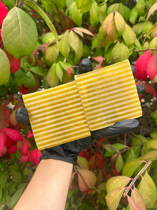 Charcoal & Turmeric Bar