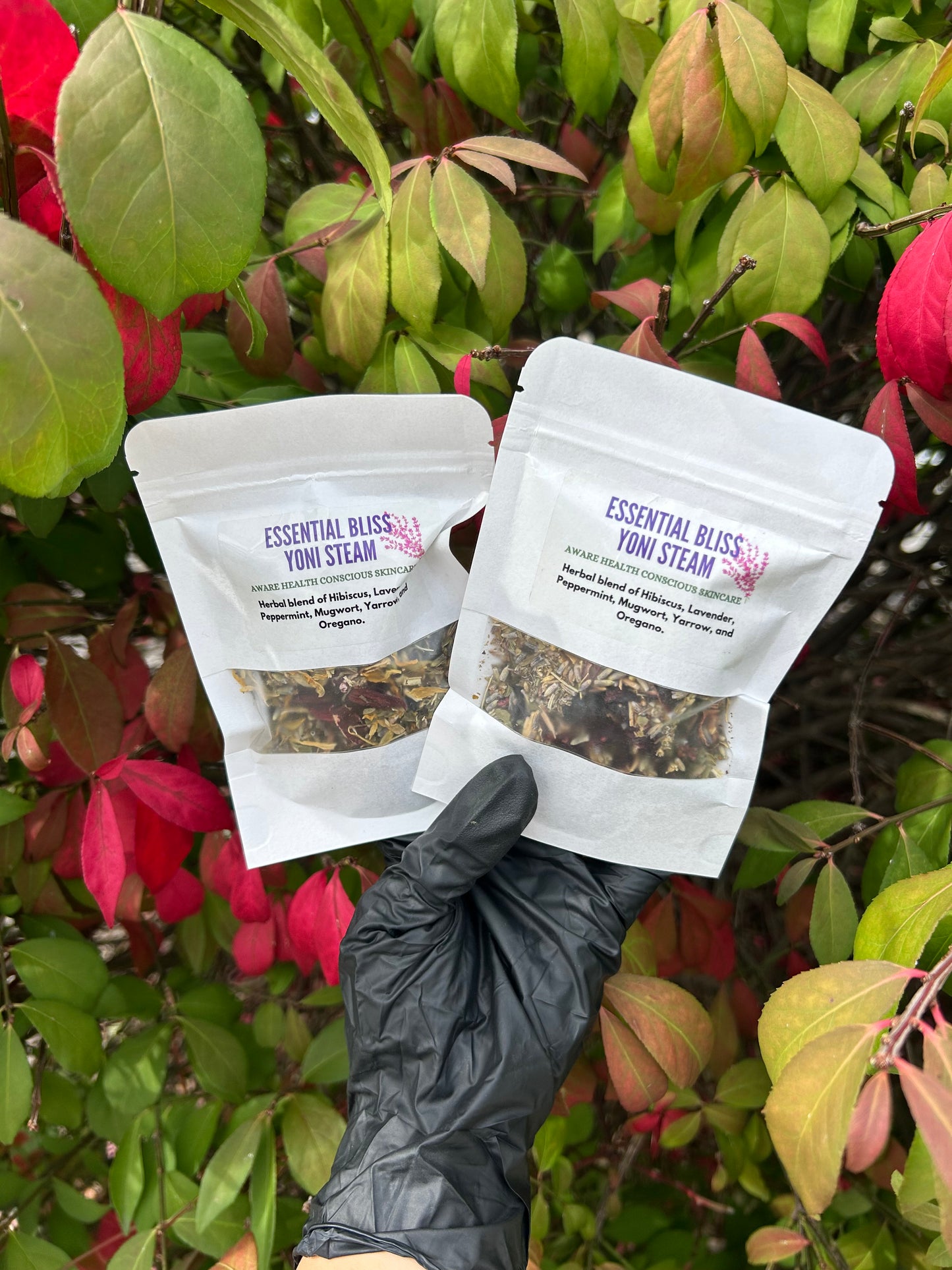 Essential Bliss Yoni Steam