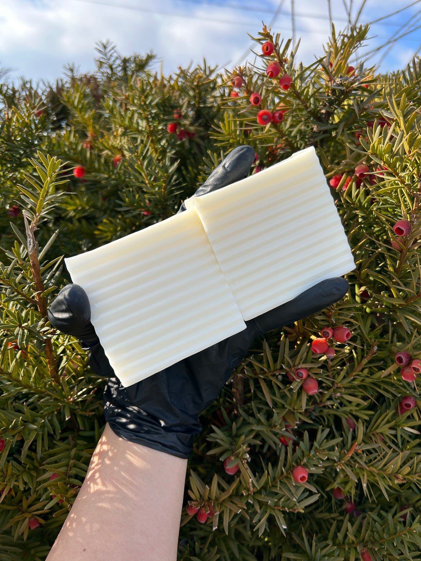 Lavender Coconut Goat Milk