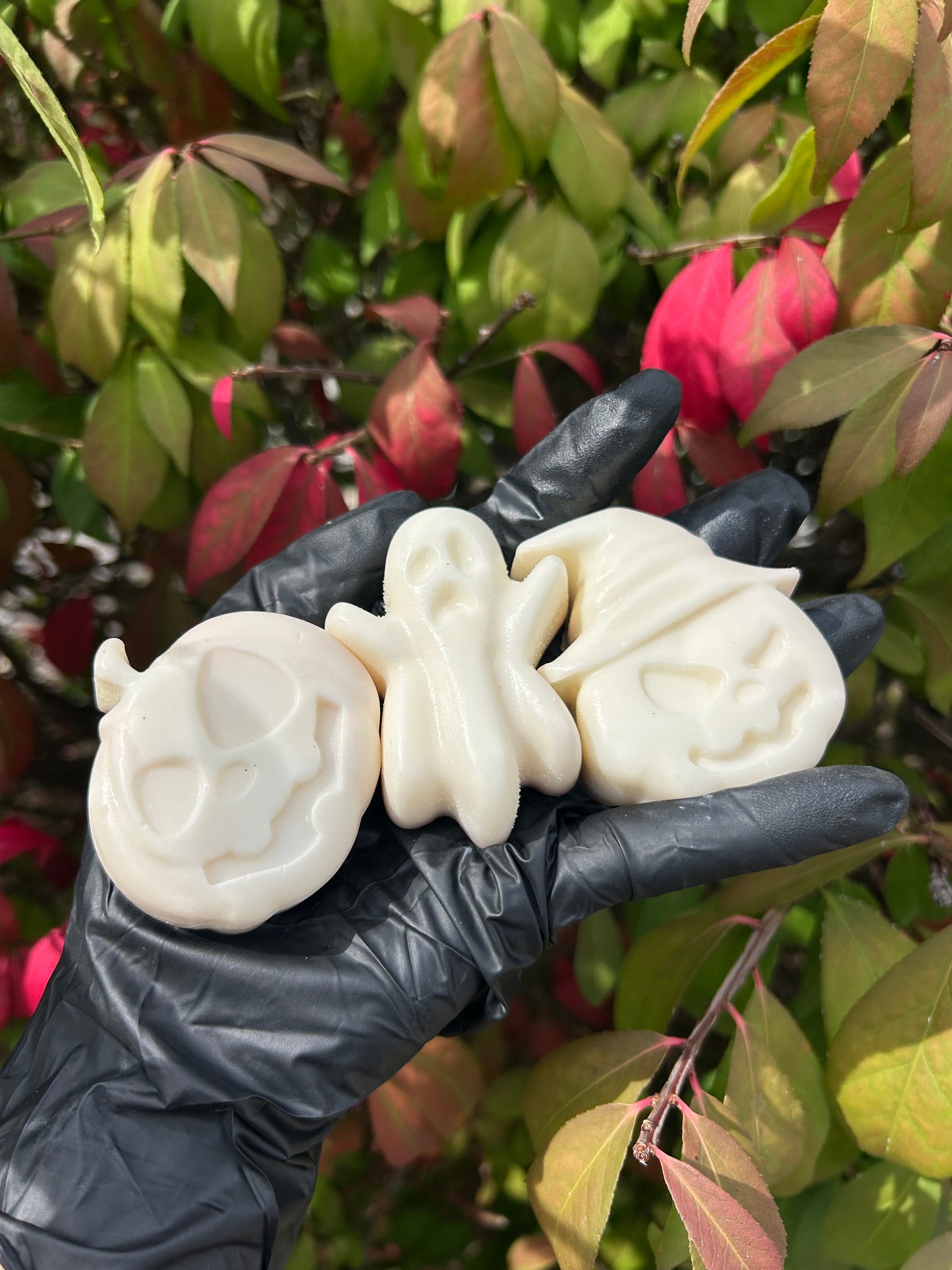 Haunted Harvest Set